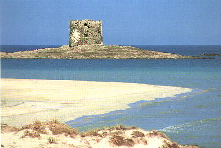 STINTINO